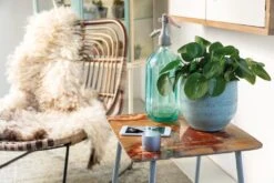 Swiss Peak Bass-Lautsprecher, Grau -Leben Bedarfs Verkauf Werbeartikel Swiss Peak Bass Lautsprecher grau 882468248 9