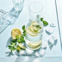 Leben Bedarfs Verkauf -Leben Bedarfs Verkauf Werbeartikel Vanilla Seasonr PAPAROA Glaskaraffe 9182467421 1